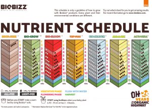 Biobizz nutrient schedule