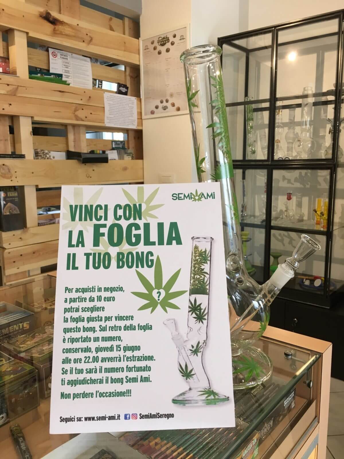 vinci con la foglia