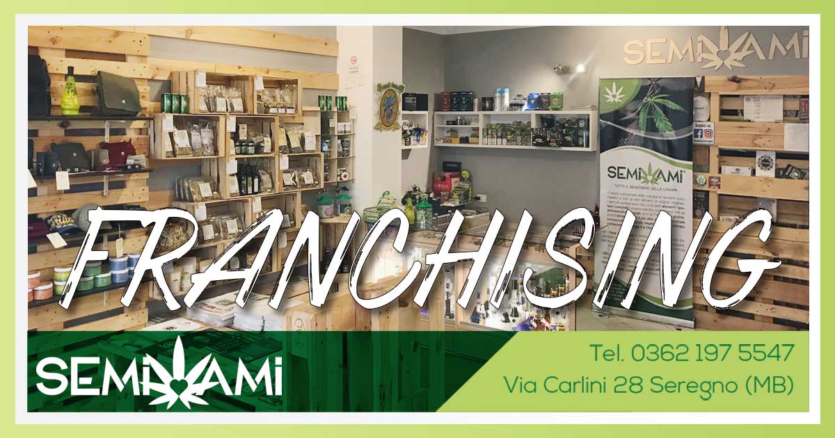 Semi Ami franchising canapa
