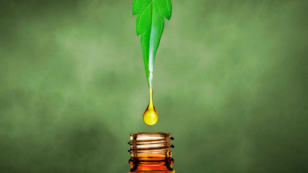 Olio cbd