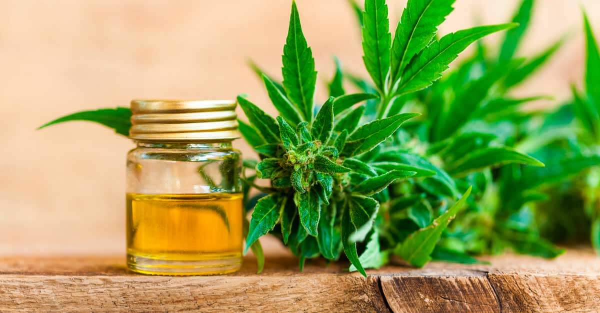 Olio cbd