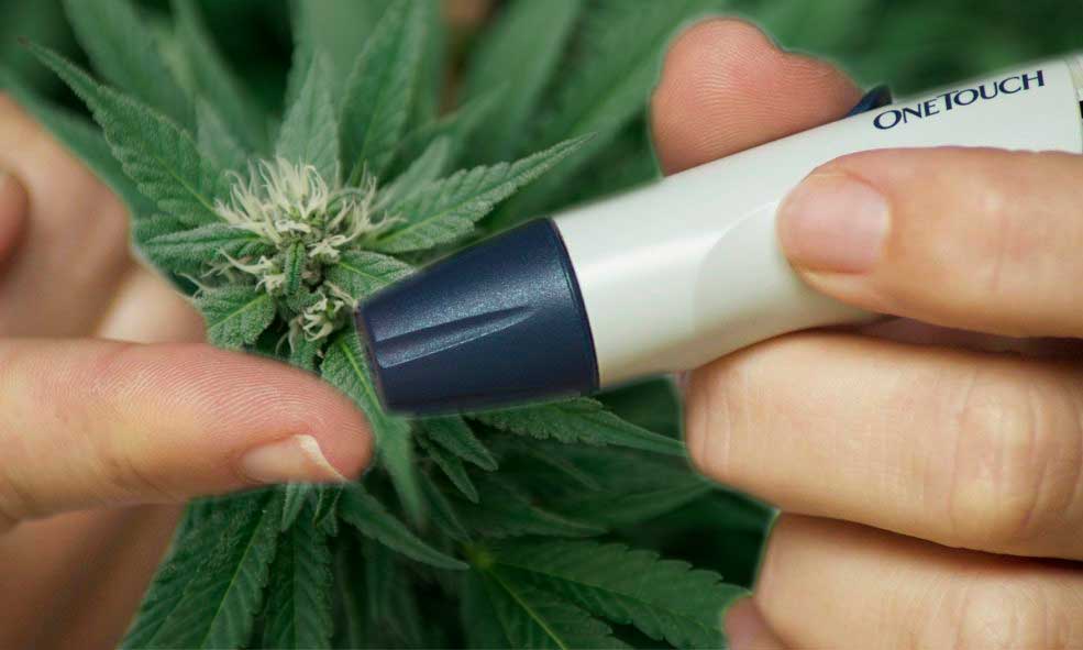 diabete e cannabis