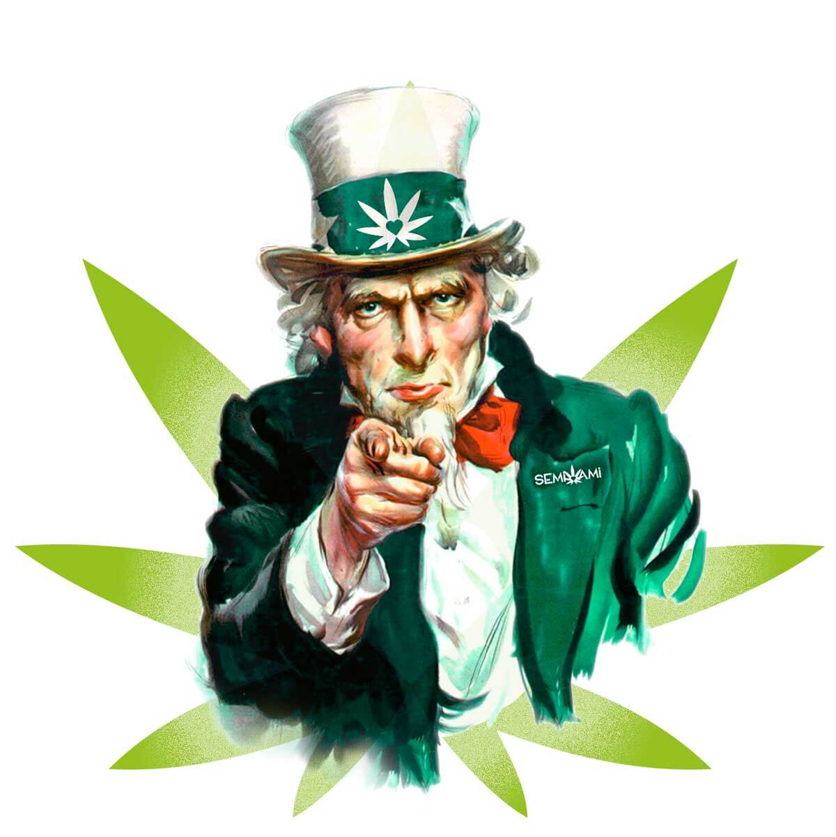 Semi Ami wants you