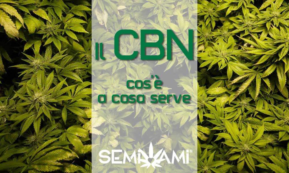 CBN
