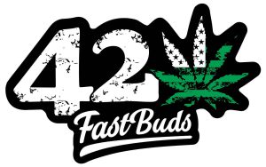 420FastBuds