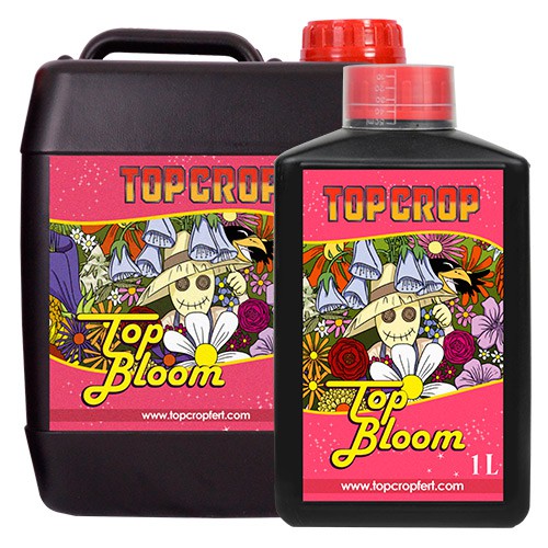 Top Bloom - TOP CROP