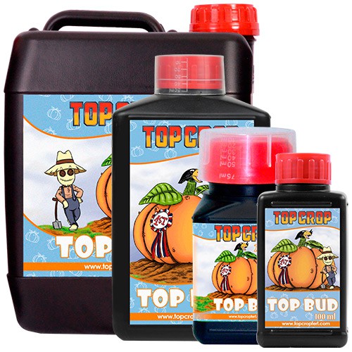Top Bud - TOP CROP