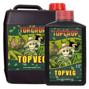 Top Crop Top Veg
