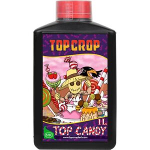 Top Candy - TOP CROP