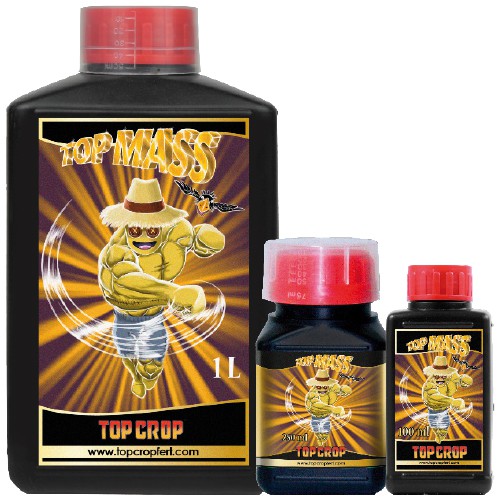 Top Mass - TOP CROP